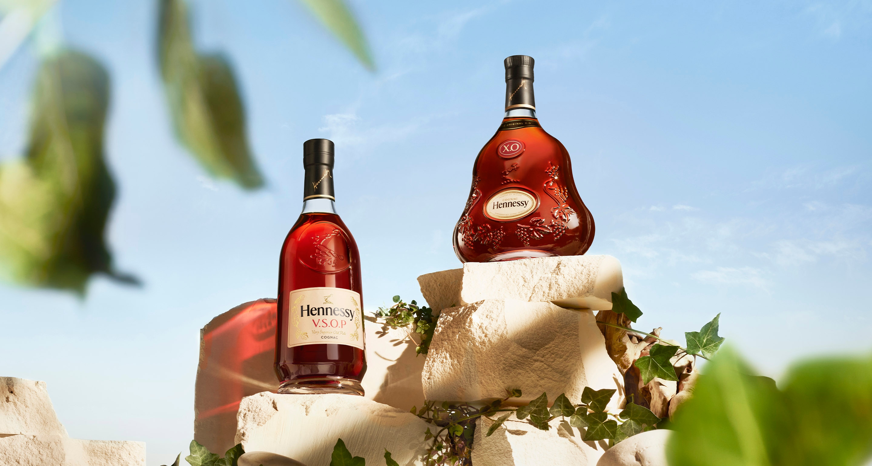 HENNESSY-E-RETAIL-PORTFOLIO-SUMMER-VSOP-XO