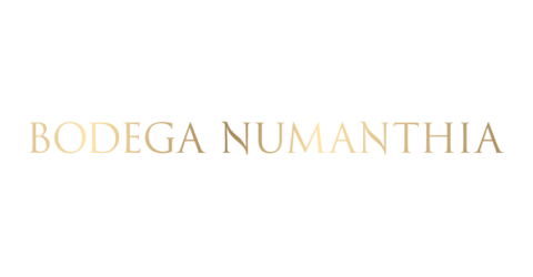 brand-logo_bodega-numanthia.png