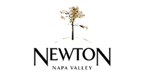 logo2_49_top_newton.png