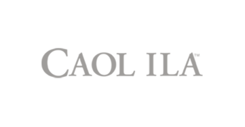 logo2_57_top_caol.png