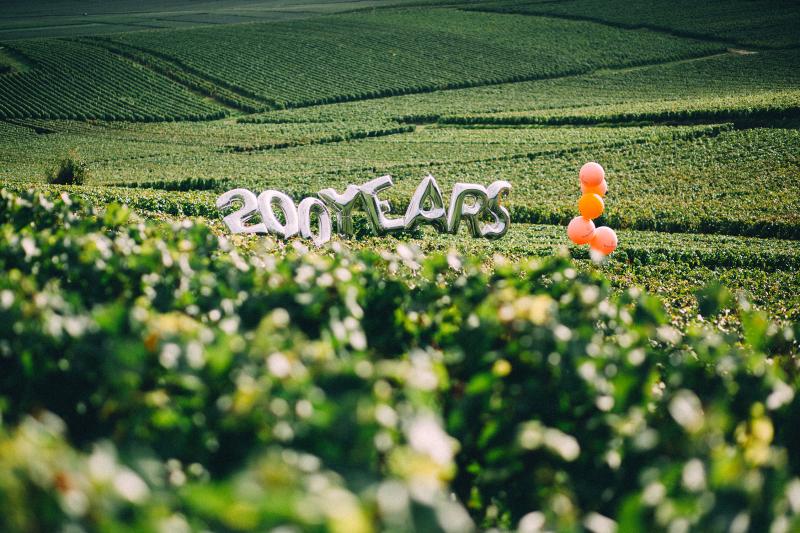 vcp-rosevisual-vineyard-13-r1.jpg