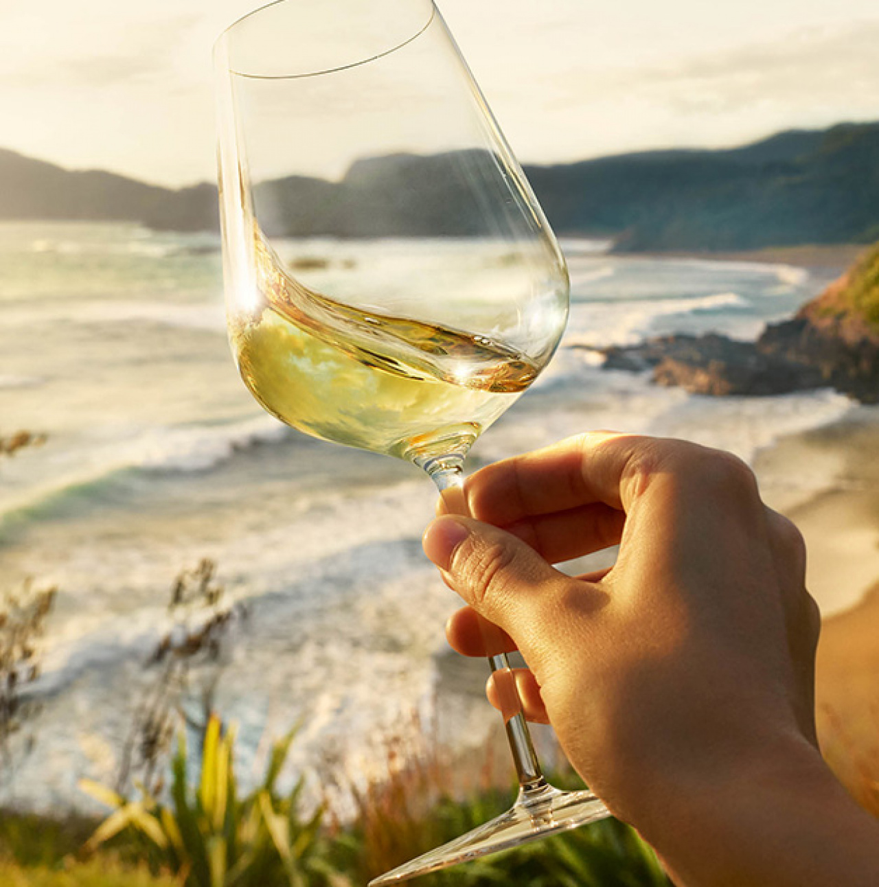 Cloudy Bay Te Koko Sauvignon Blanc 2020 - The Good Wine Co.